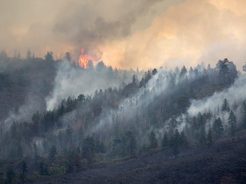 Smoke in air from wildfire