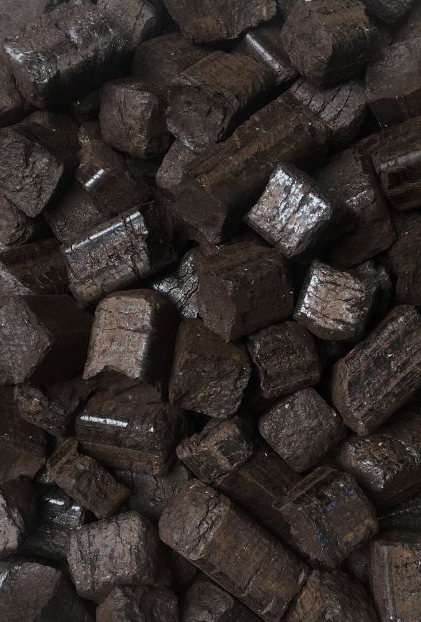 Biocoal (black pellets) from woody biomass